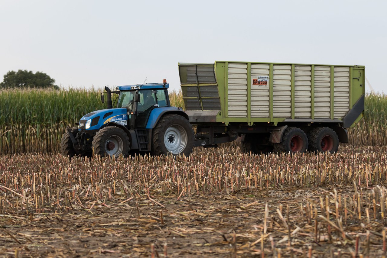 Bild 171 - Maisernte 2016